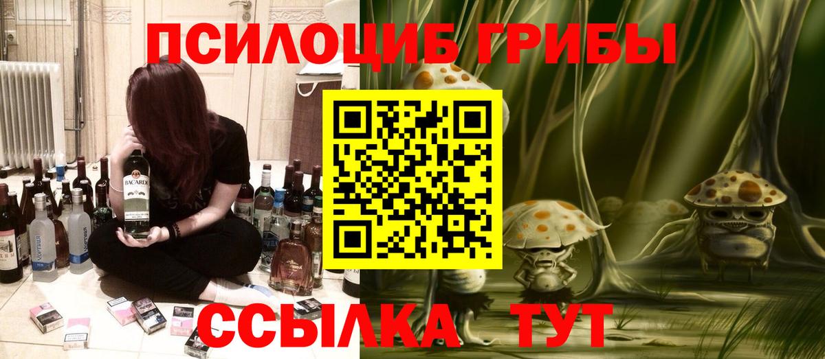 Псилоцибиновые грибы Cubensis Лениногорск